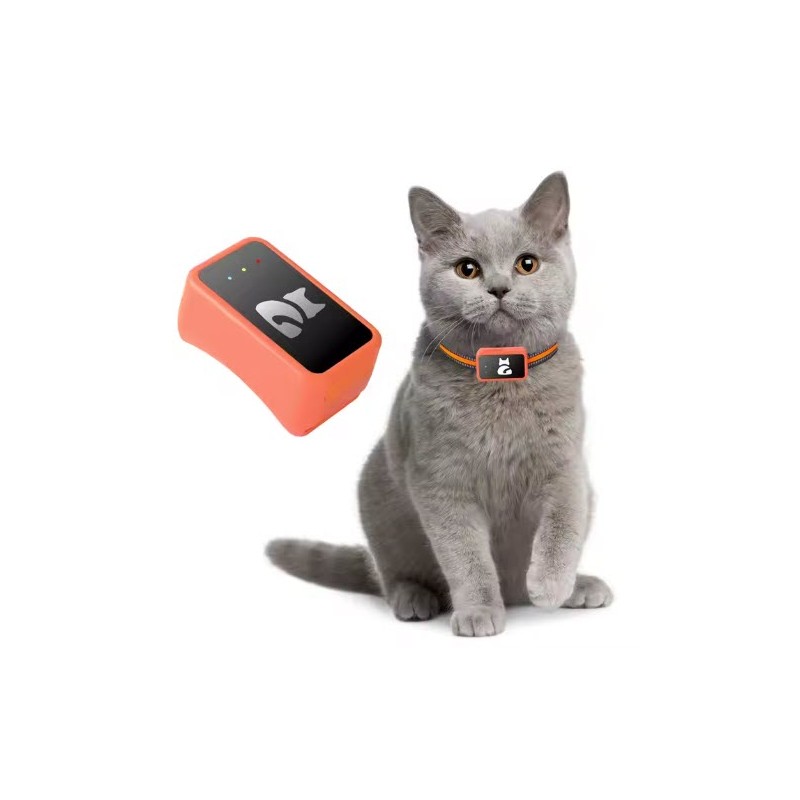 World Smallest Waterproof 4G Pet GPS Tracker for Dog Cat Free APP Real Time Tracking