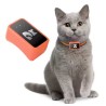 World Smallest Waterproof 4G Pet GPS Tracker for Dog Cat Free APP Real Time Tracking